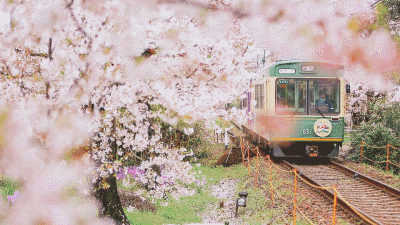 图1.gif