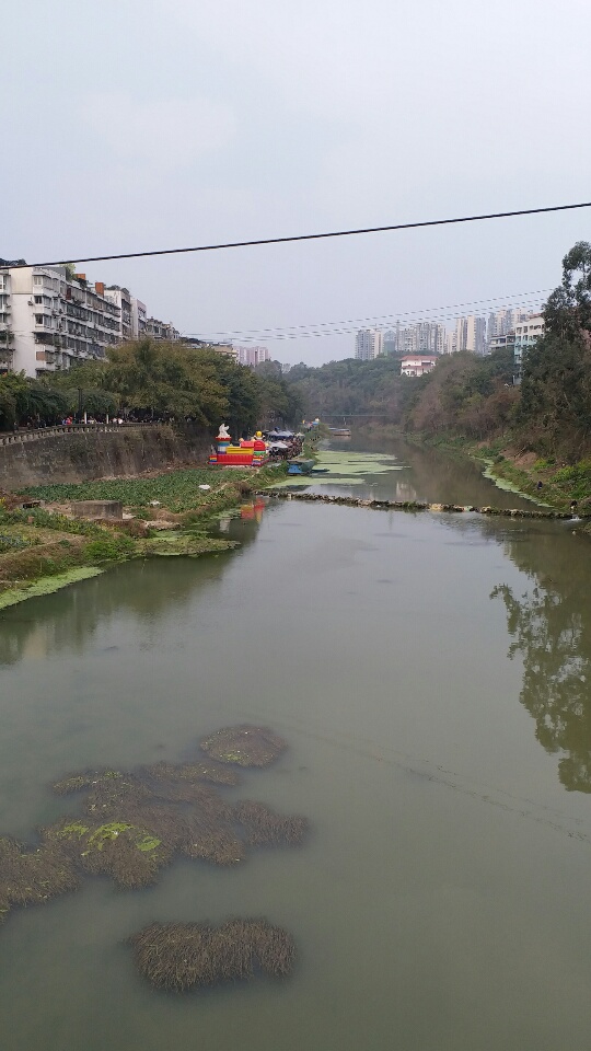 威远县新场中学_四川省内江市威远县新场镇威远县新场