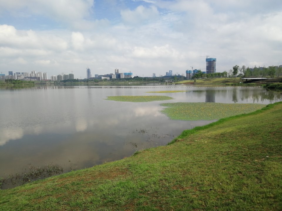 兴隆湖-湿地公园