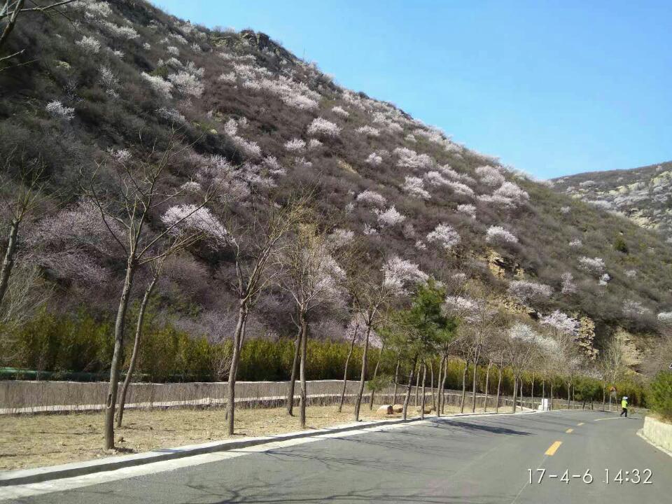 太原杜儿坪桃花沟