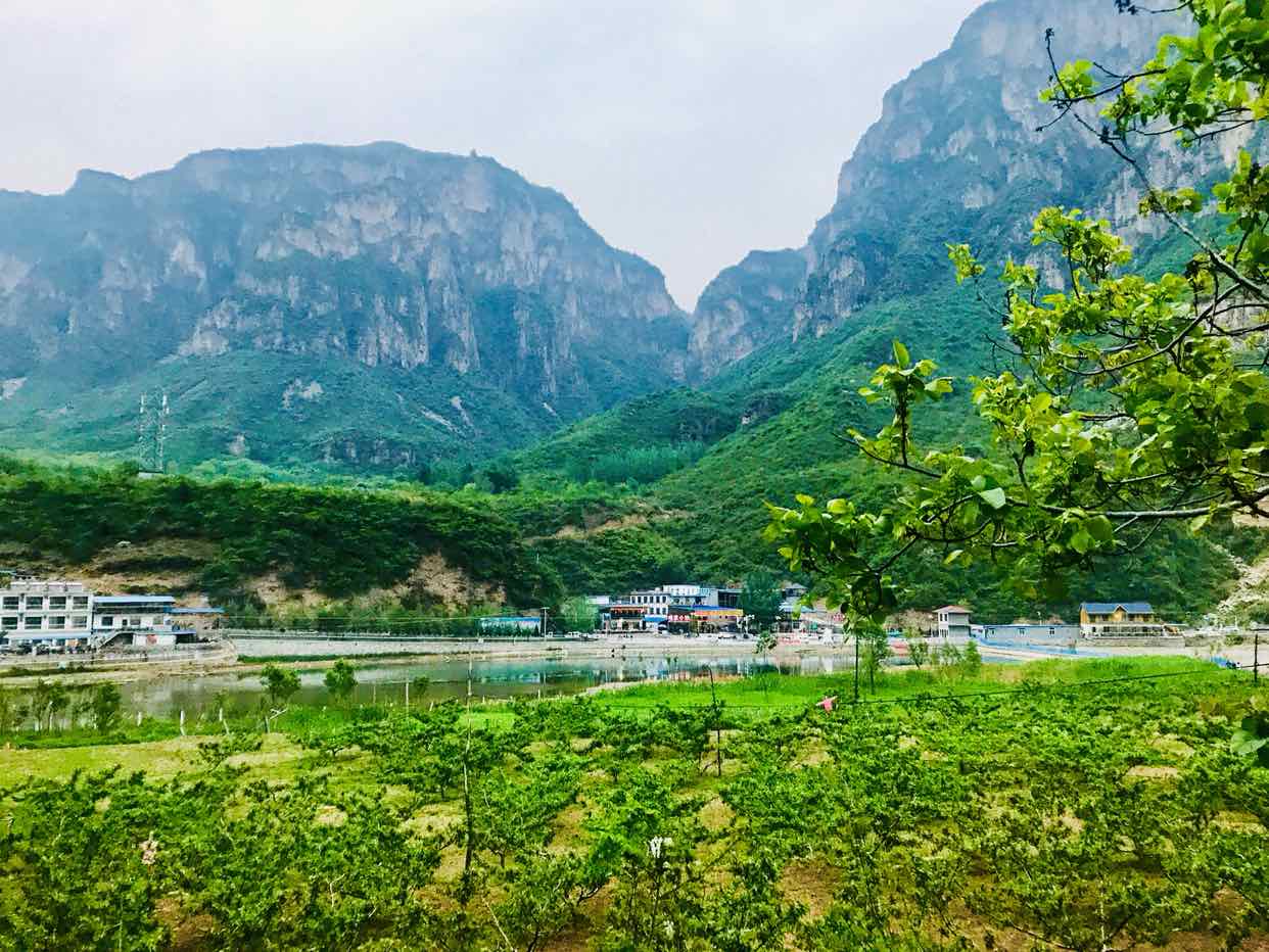 山西省晋城市陵川县马圪当乡武家湾村