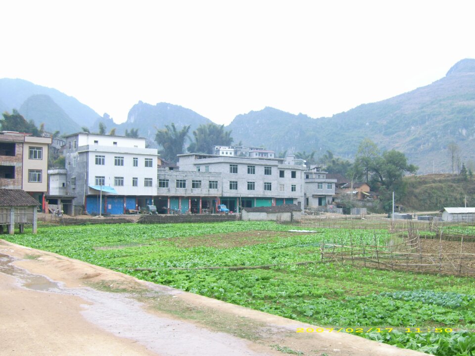 板坡小学_广西壮族自治区河池市东兰县大同乡板坡小学电话邮编交通