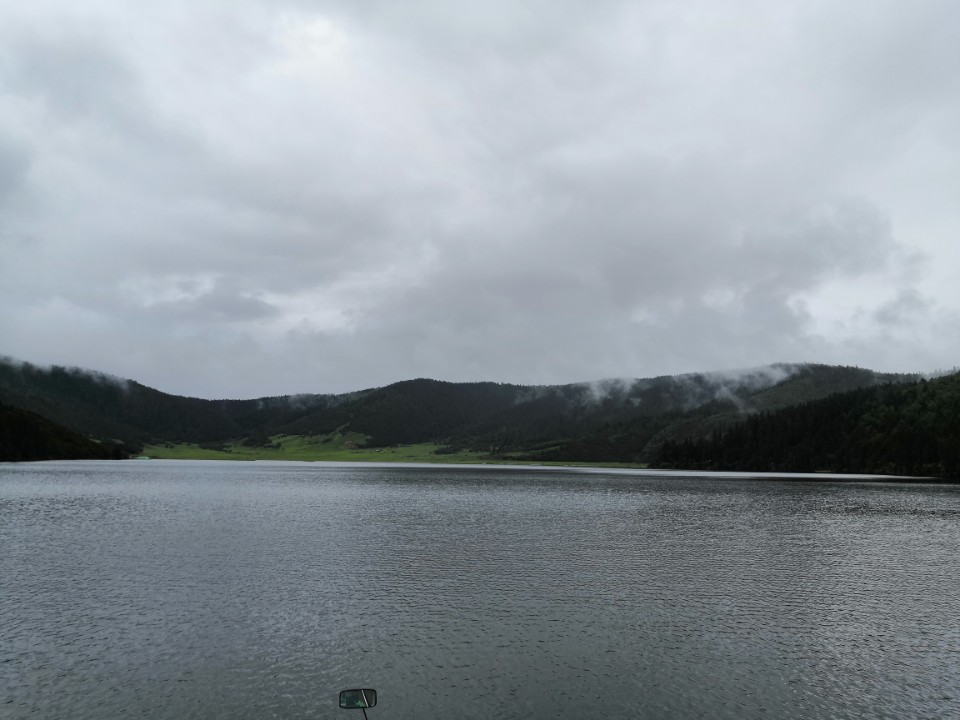 普达措杜鹃花海