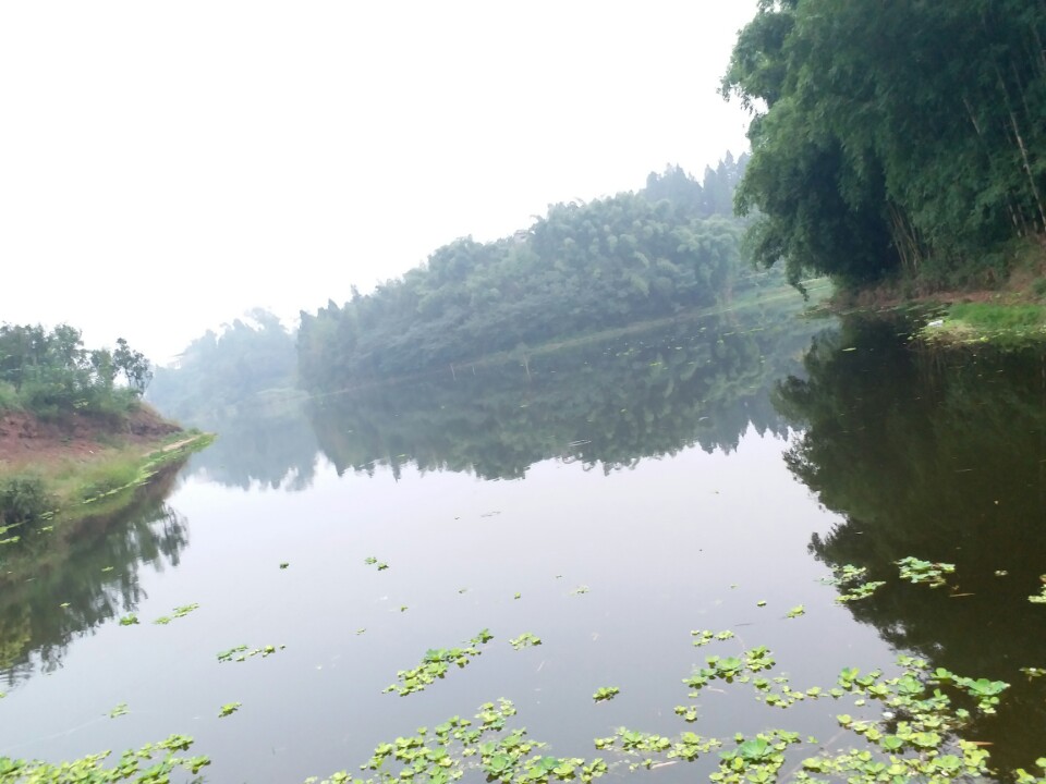 上房村_四川省泸州市合江县佛荫镇上房村邮编旅游景点文化特产美食