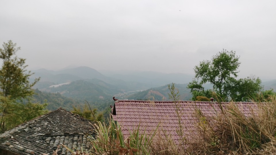 瑞华山寺