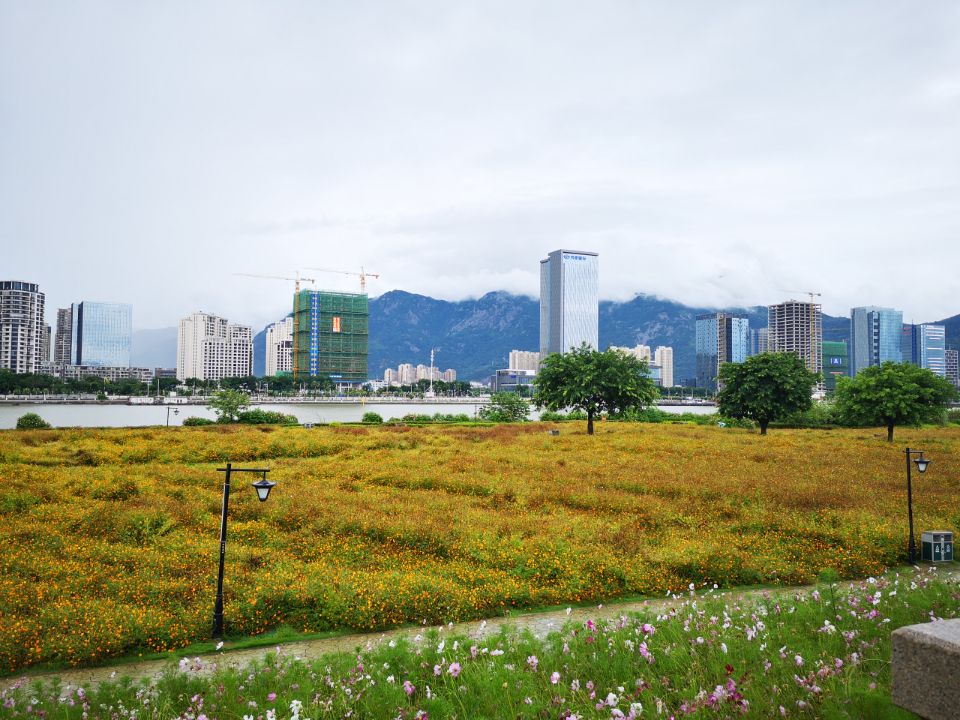 福州花海公园