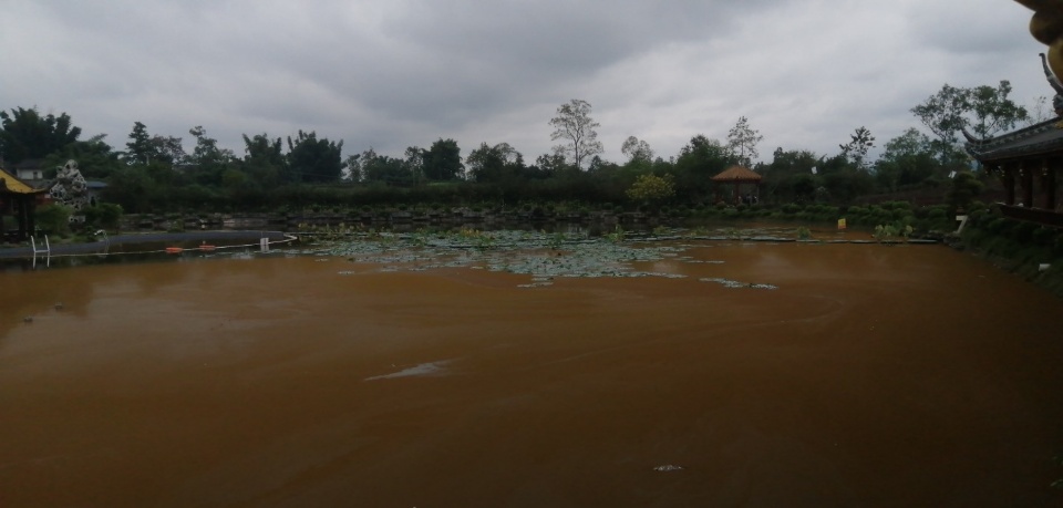 曼瑜天雅湿地公园