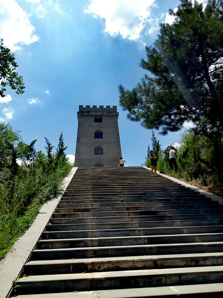 调令关森林公园