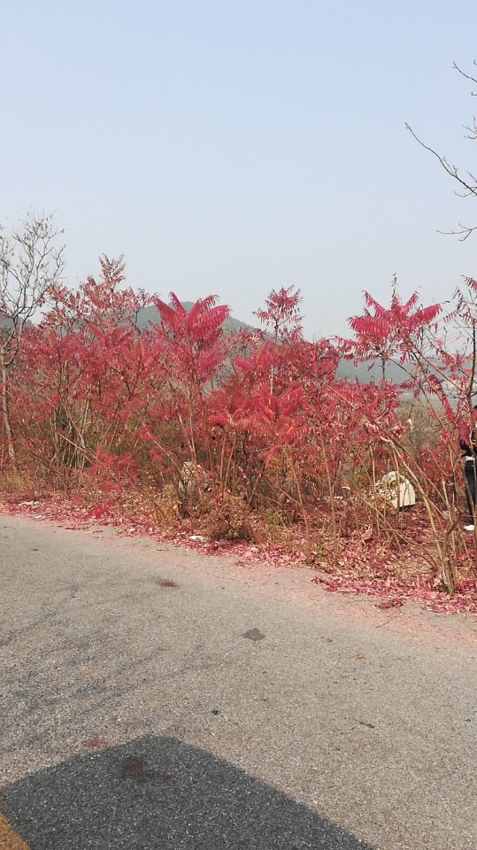 沙石峪纪念馆