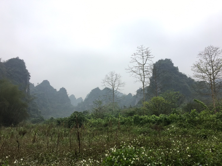 龙州老木棉发现·弄岗景区