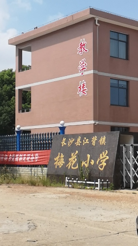 长沙县江背镇梅花小学