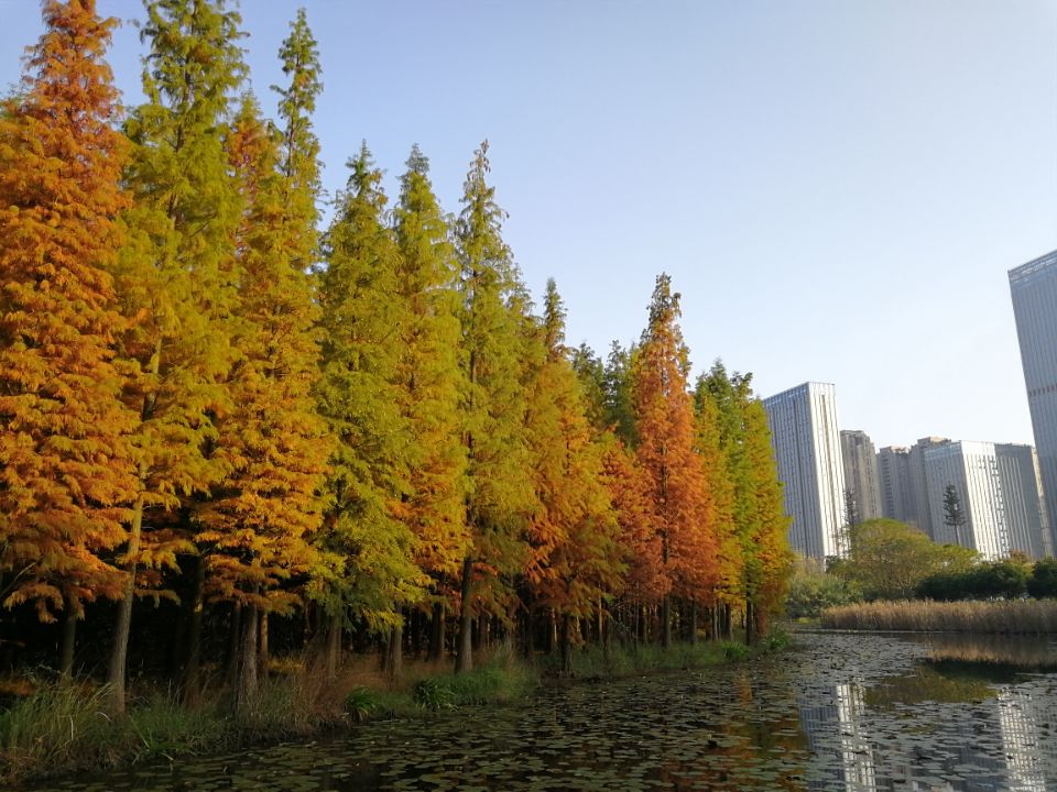 南昌市青山湖区经典路线推荐