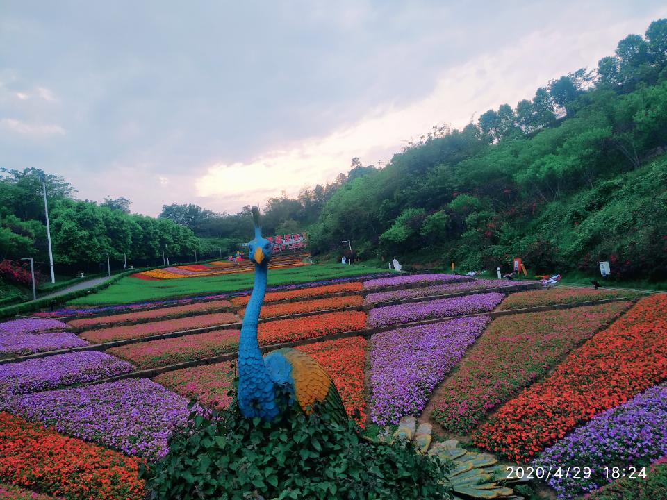 鼎山公园