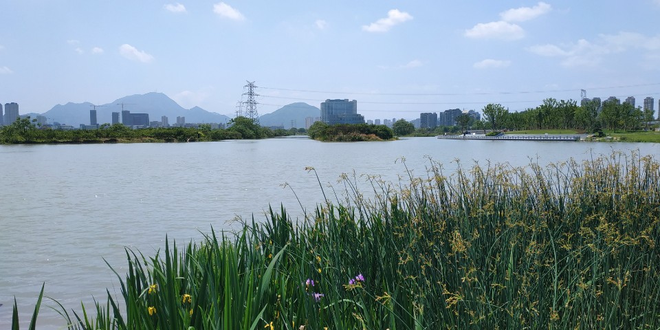 三垟湿地景区