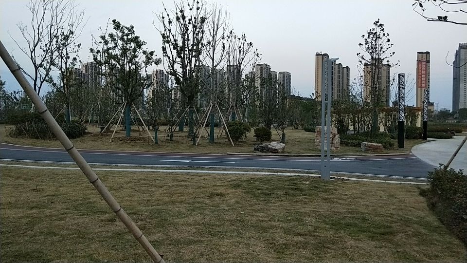 桃花潭公园