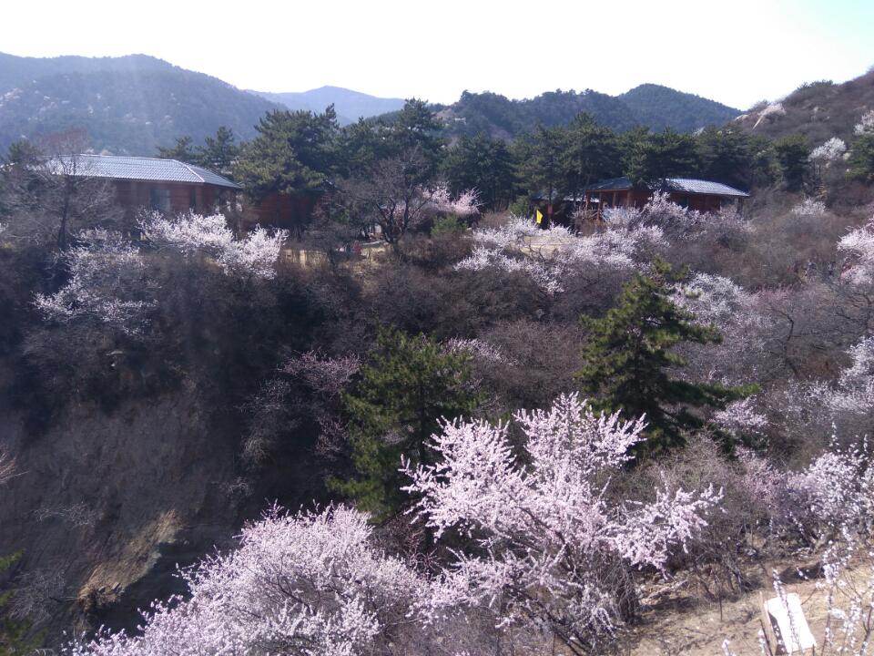 太原杜儿坪桃花沟