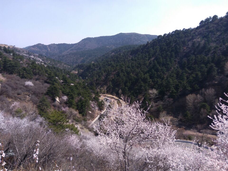 太原杜儿坪桃花沟