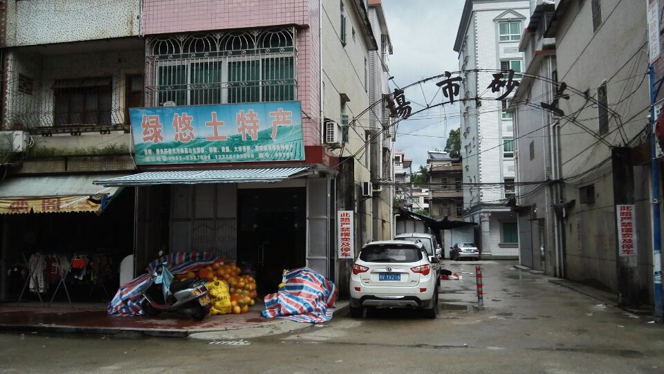 广东省揭阳市揭西县上砂镇汤村