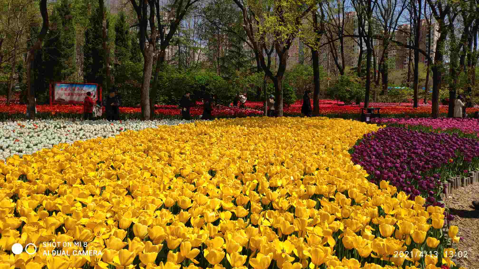 胶州市植物园