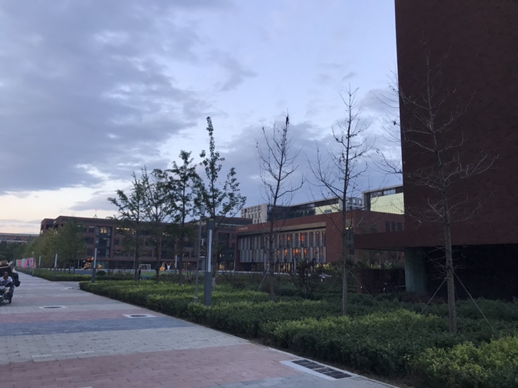 北京朝阳凯文学校