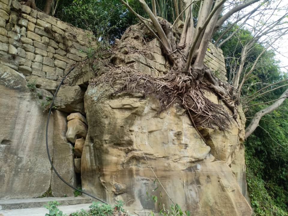 芦音寺