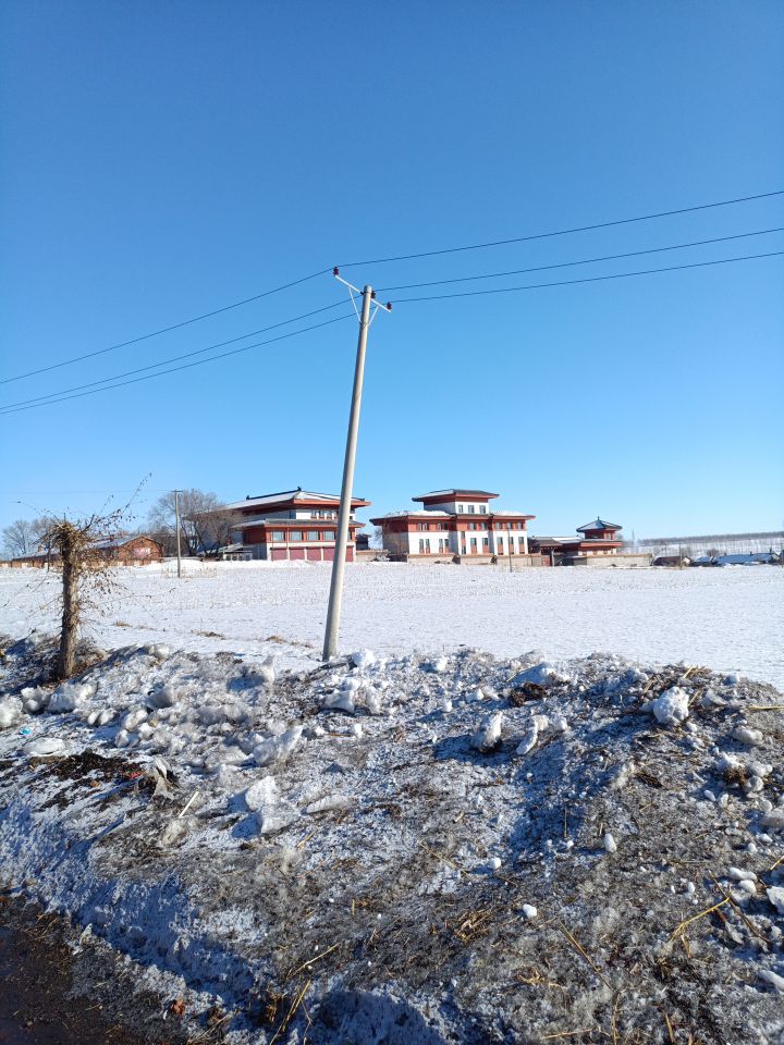 龙莲寺