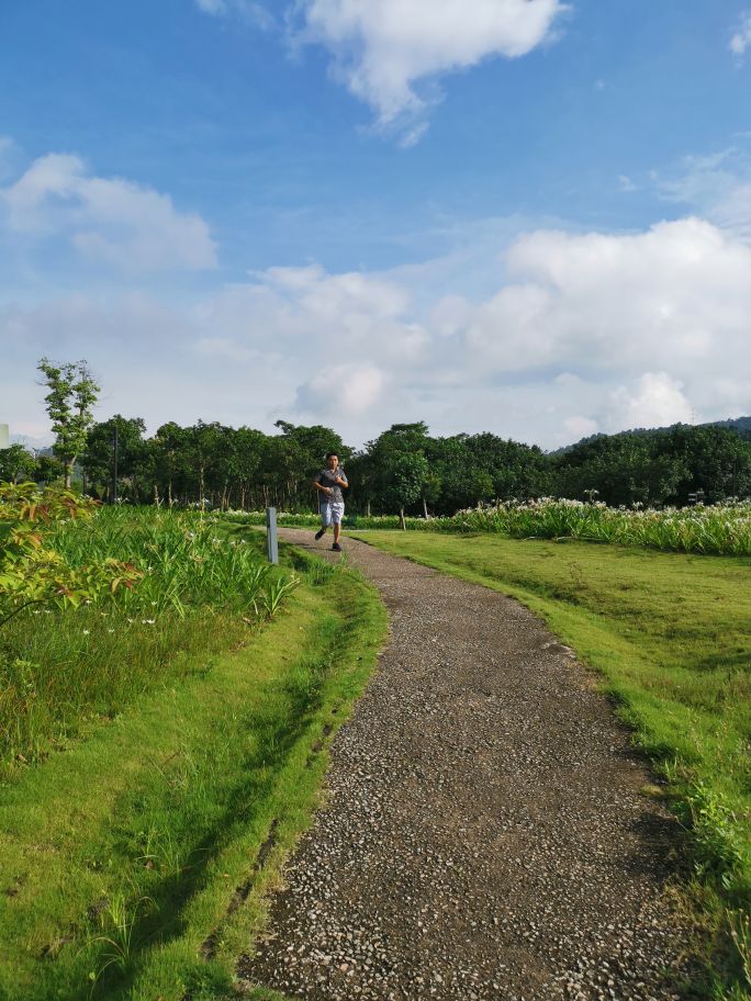 红花岭公园