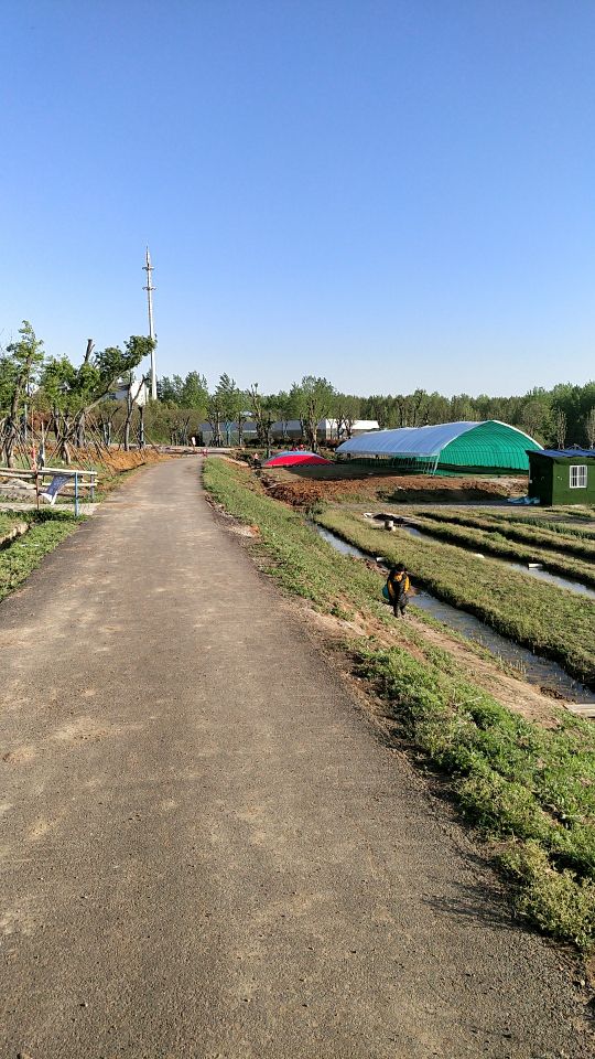 標籤: 風景名勝;公園廣場;公園 地址: 合肥市廬陽區環湖北路附近