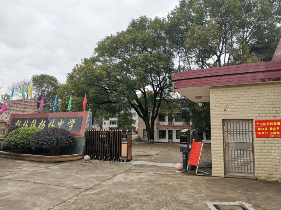 杨林镇杨林中学_湖南省衡阳市衡东县杨林镇杨林镇杨林中学电话邮编