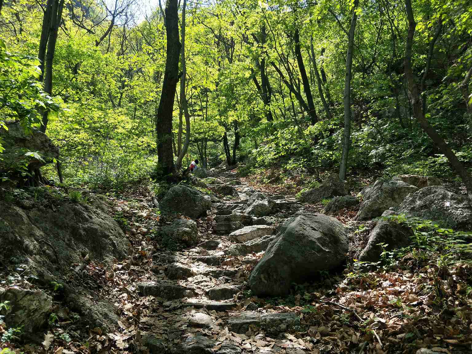 鞍山岫巖藥山風景區