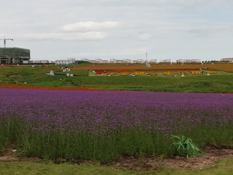 市勃利縣勃利鎮七臺河市第一高級中學電話郵編交通路線地址_村網