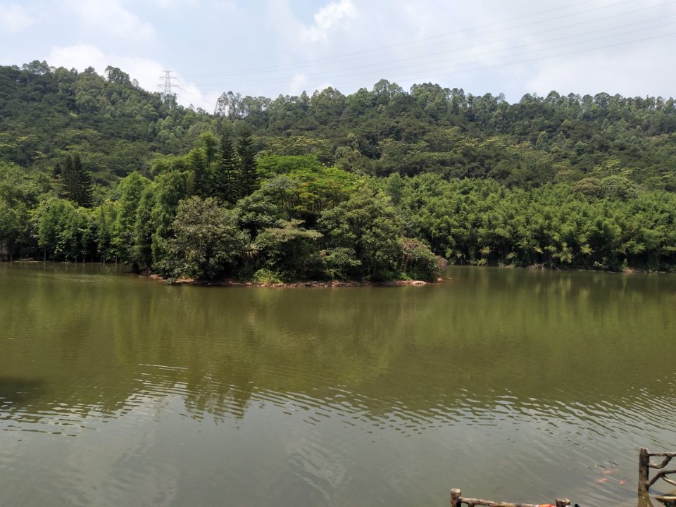 滴水巖森林公園