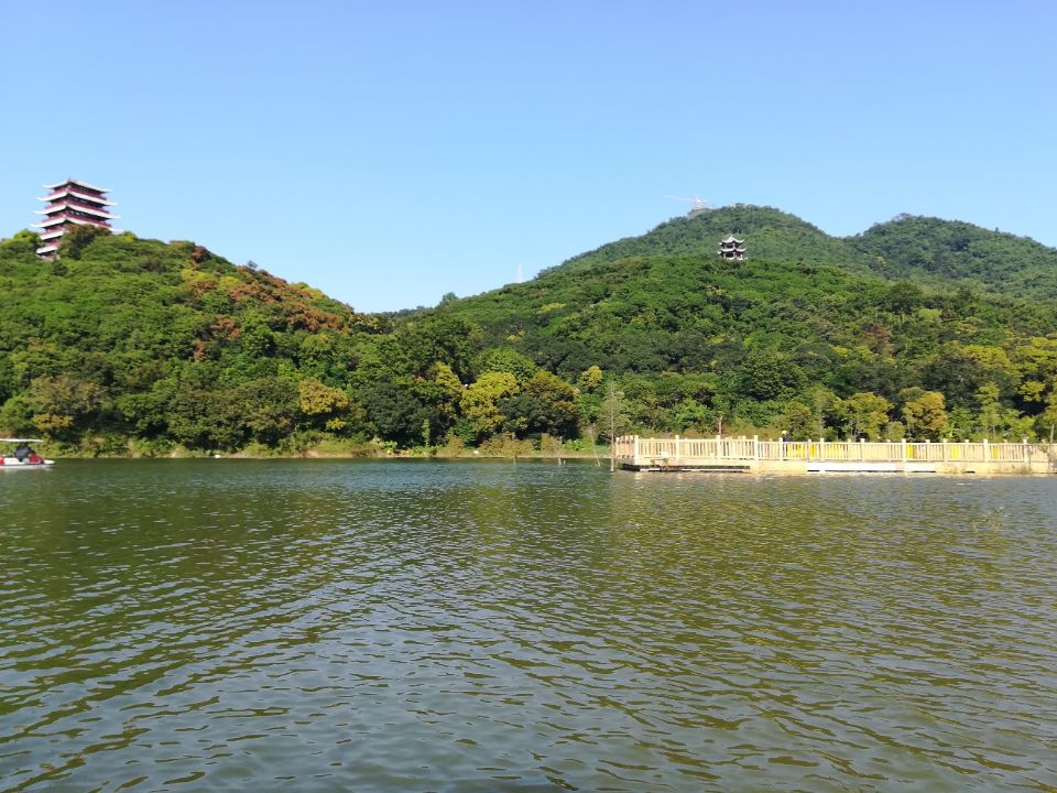 云浮大王山森林公园图片