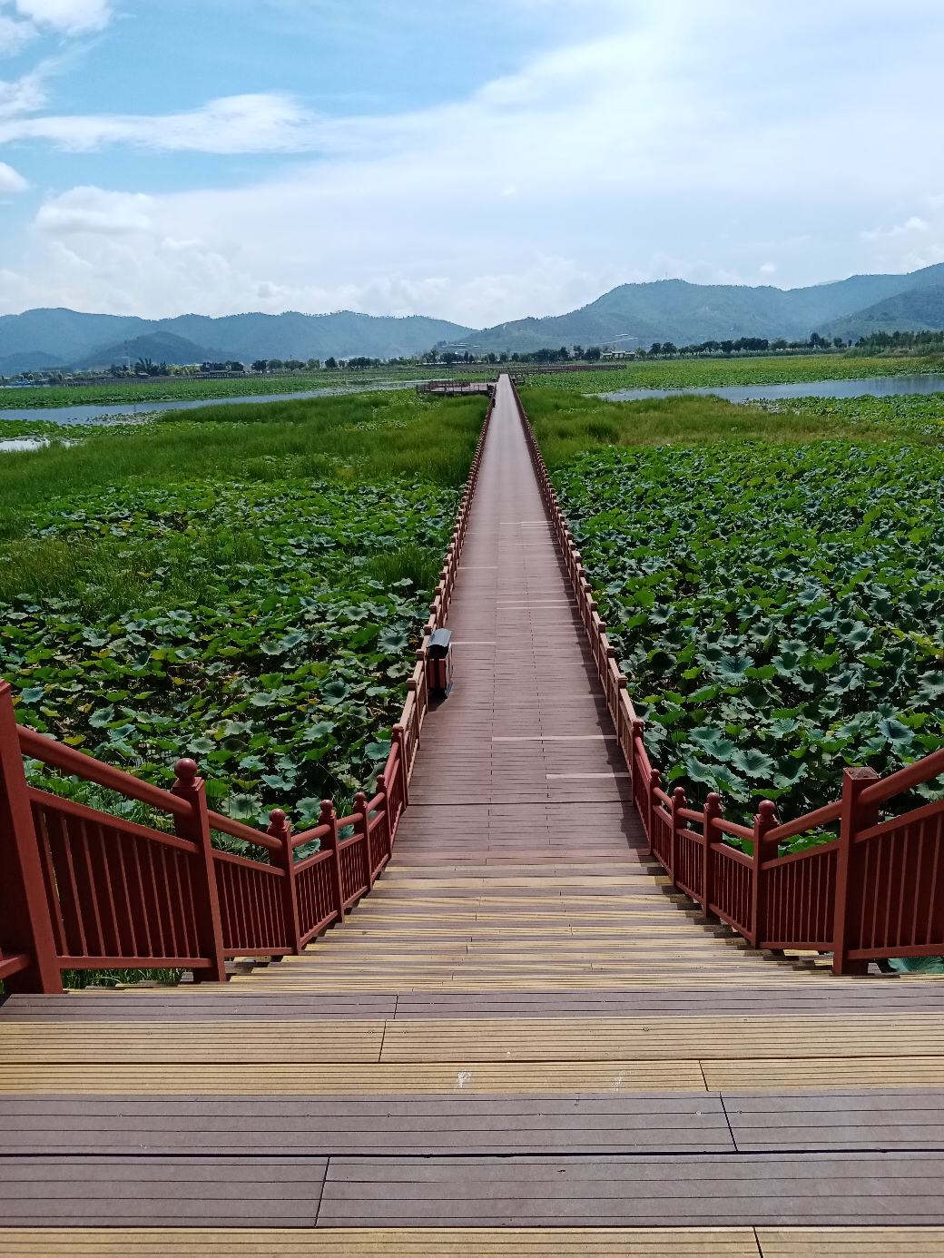 石屏异龙湖简介图片